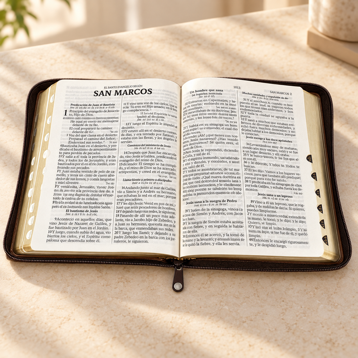 Biblia Reina-Valera 1960 — Letra Grande, Cierre e Índice de Colores